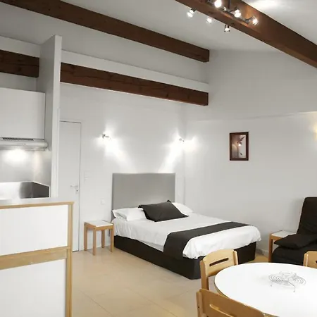 公寓式酒店 Residences Guerlin 圖盧茲