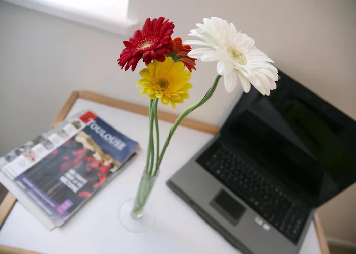 Residences Guerlin 3* Τουλούζη