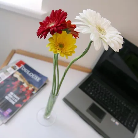 Résidences Guerlin 3* Toulouse